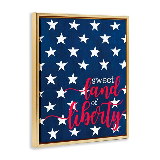 Stupell Industries Sweet Land Of Liberty Americana Floater Framed Art
